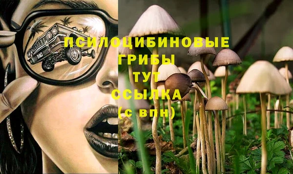 молекула духа Алзамай