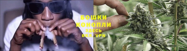молекула духа Алзамай