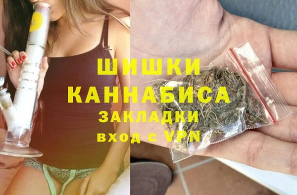 молекула духа Алзамай