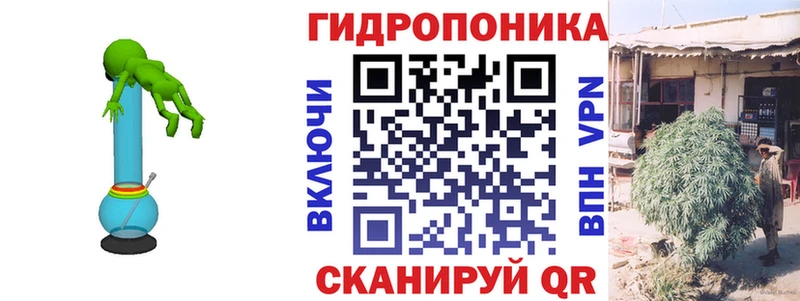 Канабис OG Kush  купить закладку  Кохма 